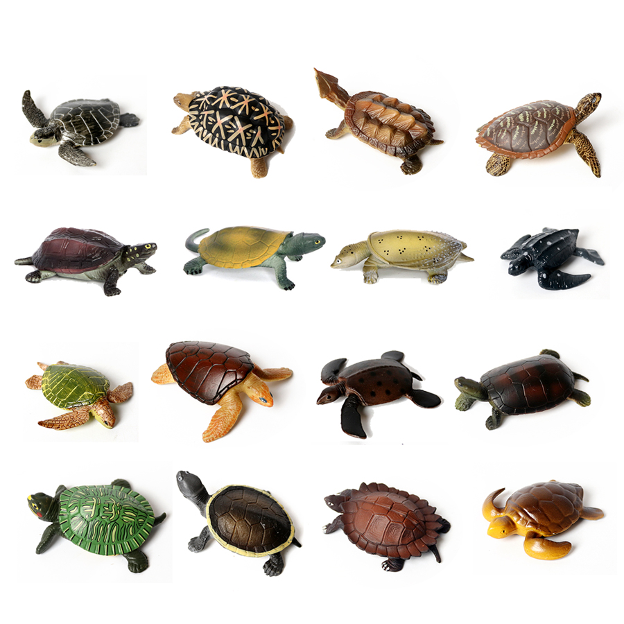 Aquarium And Marine - Realistische Miniaturen Meeres leben Meeres schildkröte