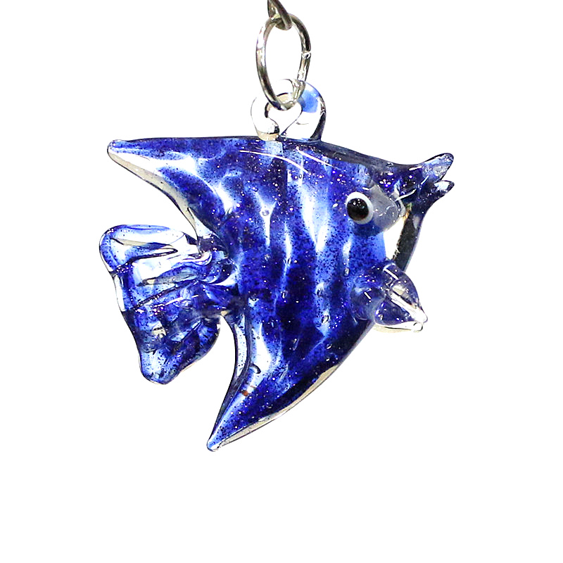 Niedliche Meeres fisch charme  – Marine Aquarium Europe Bewertung und Preis