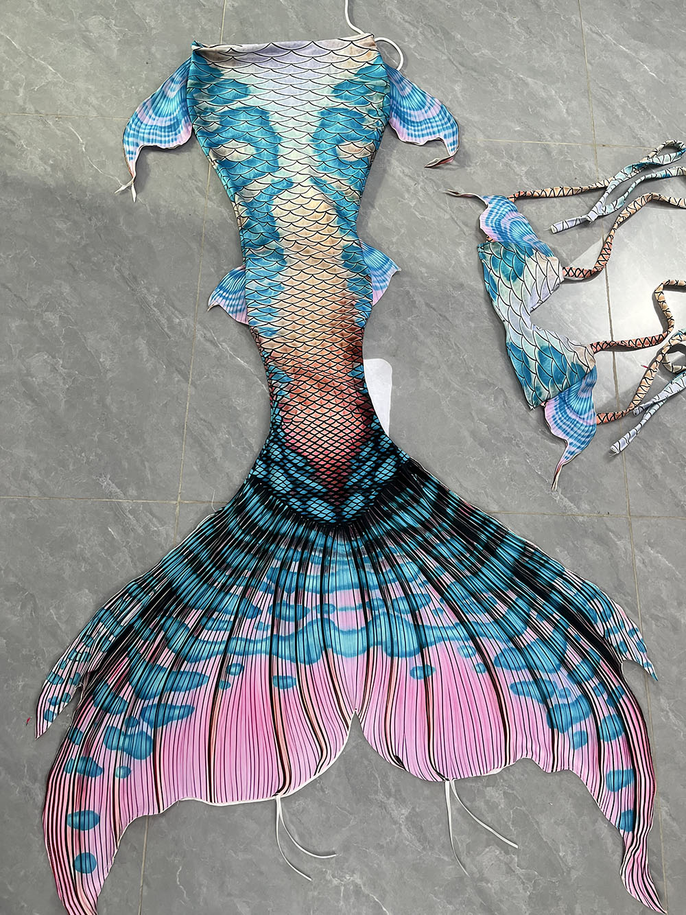 Buntes verträumtes Meerjungfra – Aquarium & Marine Museum Universiti Malaysia Sabah Kota Kinabalu Sabah Photos Bewertung und Preis
