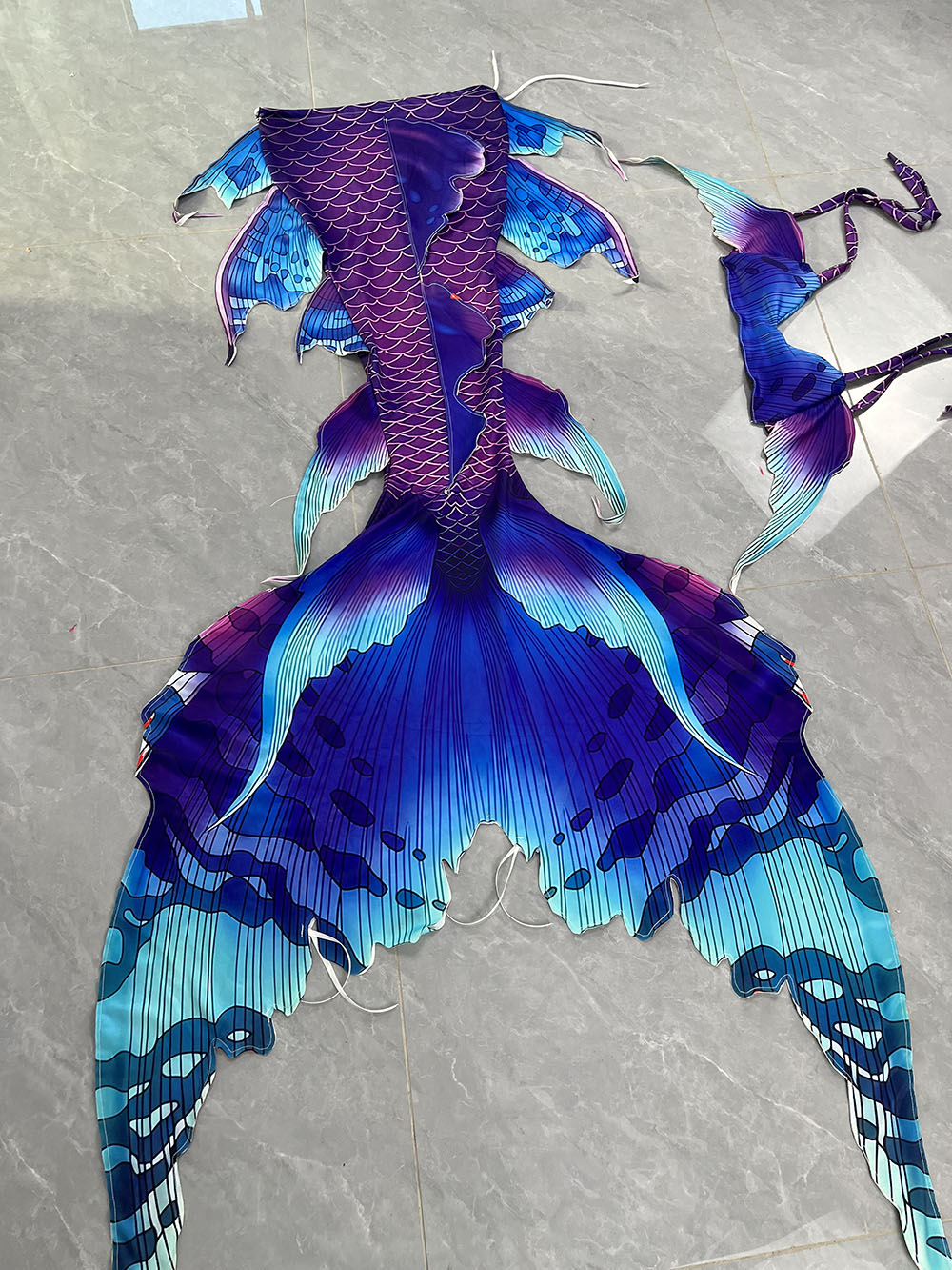 Buntes verträumtes Meerjungfra – Aquarium & Marine Museum Universiti Malaysia Sabah Kota Kinabalu Sabah Photos Bewertung und Preis